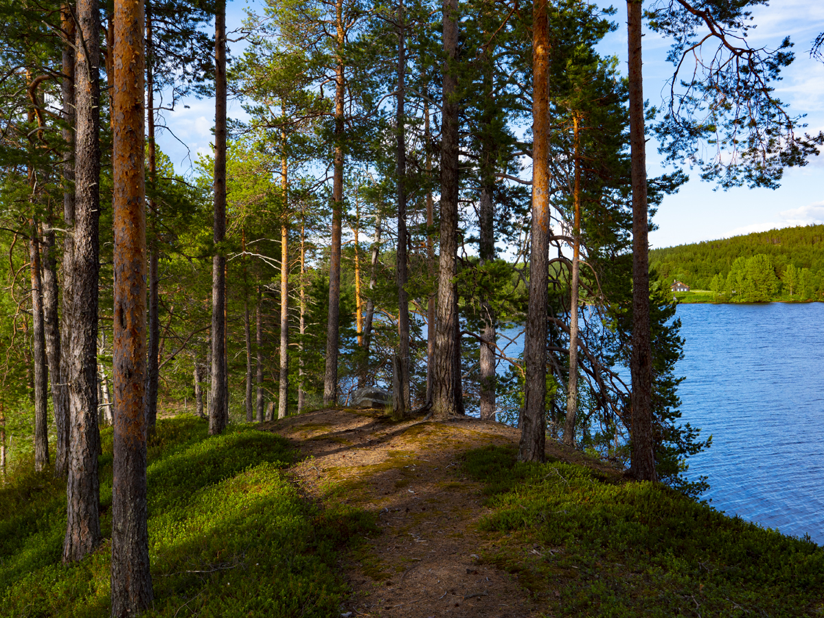 Venehjärvi место, где хочется умереть или вновь родиться